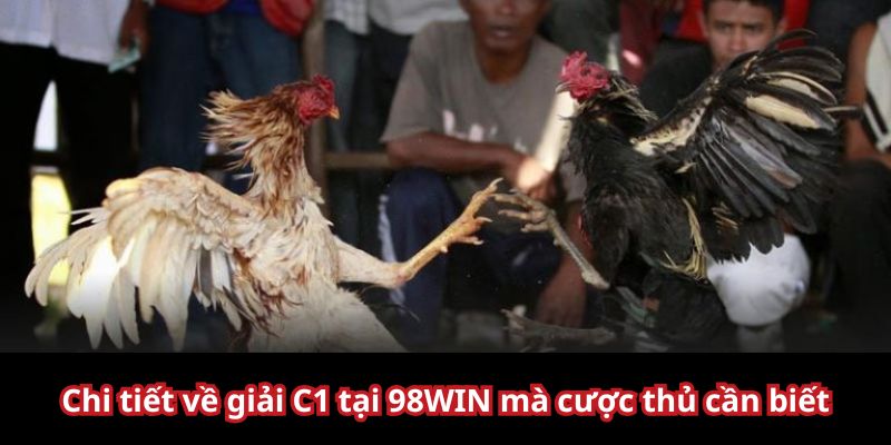 Chi tiết về giải đá gà C1 tại nhà cái 98WIN
